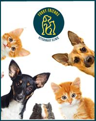 Furry Friends Veterinary Clinic Ltd